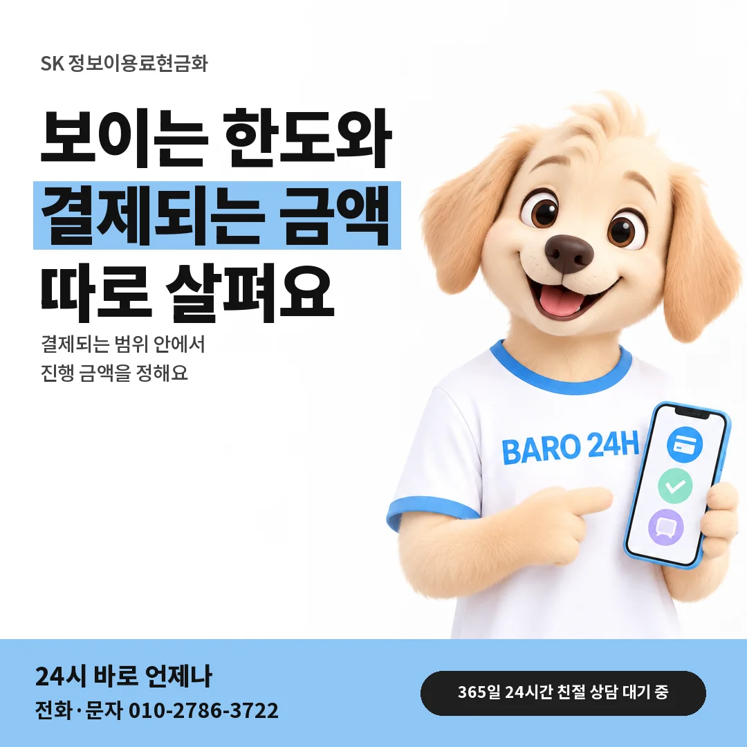 BARO 24H 티셔츠를 입은 3D 동물 캐릭터 옆에 「SK 결제되는 범위 안 금액」 제목을 얹은 안내 카드